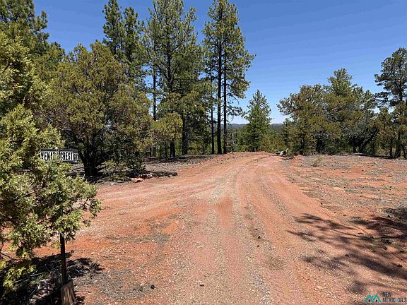 5th image of Little Arrow Rd