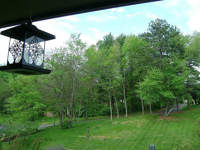 Rolling Hills from Balcony