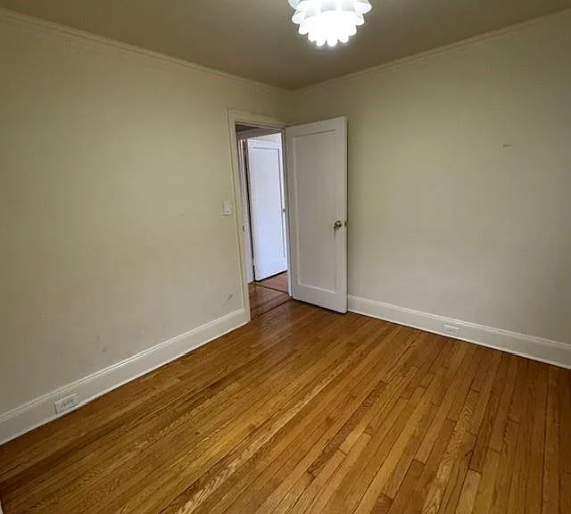 178-14 80th Dr — Photo 12