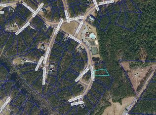 253 Wild Swan Ln, Minnesott Beach, NC 28510