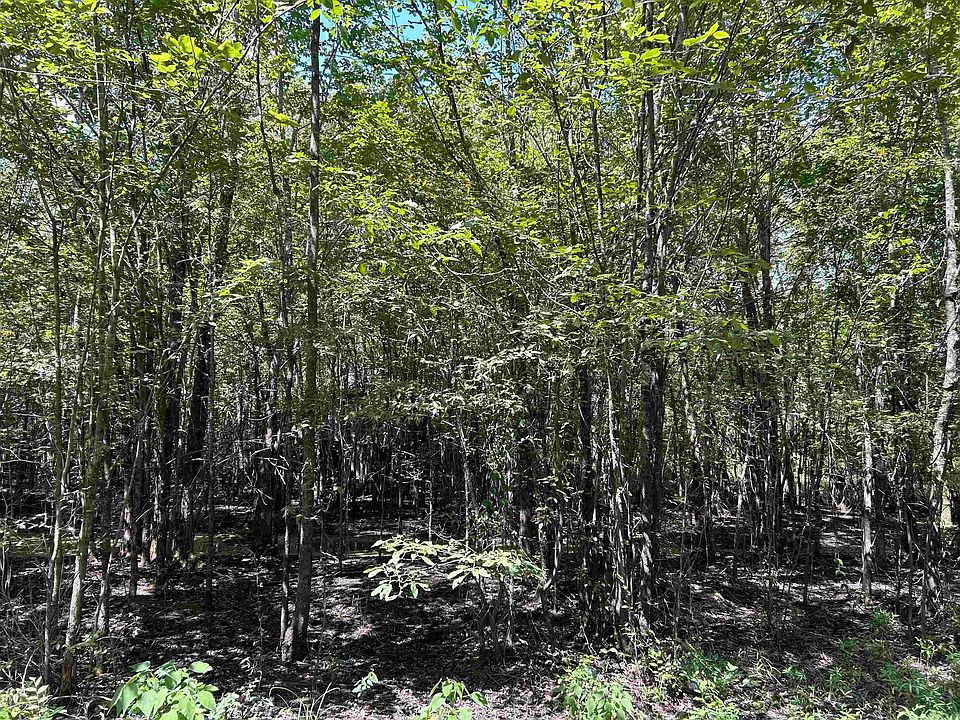 2nd image of 0 Padgett Rd