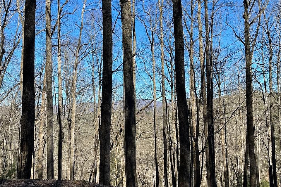1st image of TR 11 Soapstone