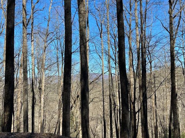 Brasstown Bald Hiawassee Real Estate 109 Homes For Sale Zillow