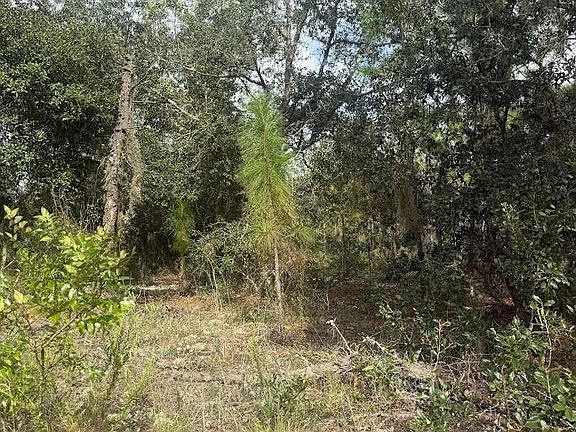 3rd image of N/a SW  Winding Hills Road