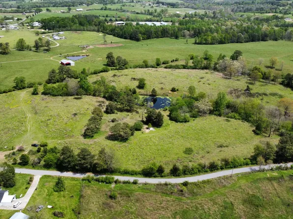 0 Roswell Creek Rd Lot 0, Blountsville, AL 35031