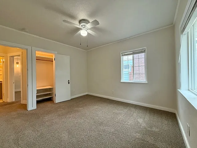 1007 E Carlisle Ave — Photo 6