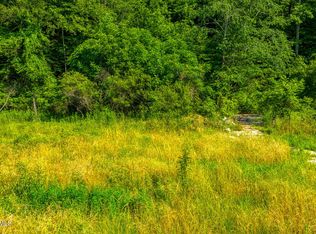 115 Willis Rd, Rogersville, TN 37857