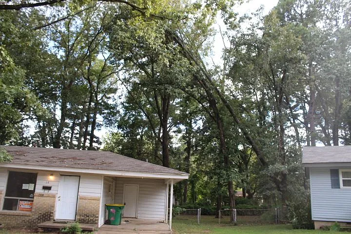 19 Exeter Dr — Photo 20
