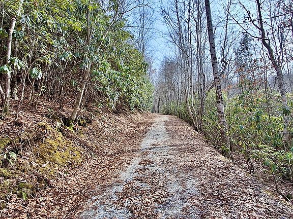 4th image of 0 Lake Ridge Ln