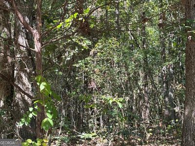 0 Old Greensboro Rd, Union Pt, GA, 30669