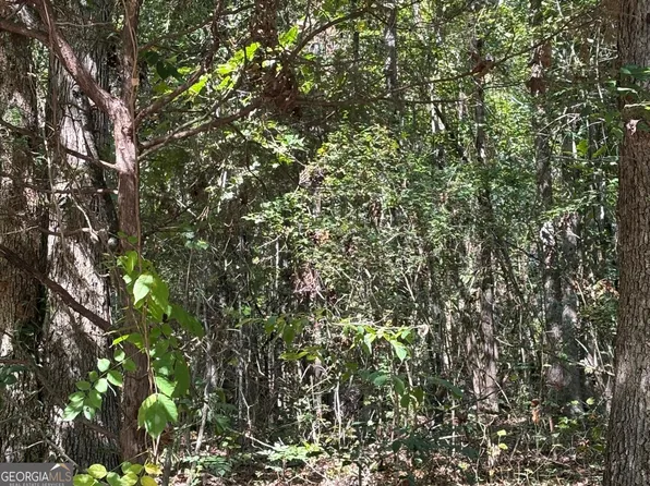 0 Old Greensboro Rd, Union Pt, GA 30669