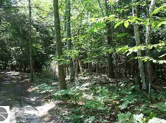 5th image of Birch Point Rd Lot 8
