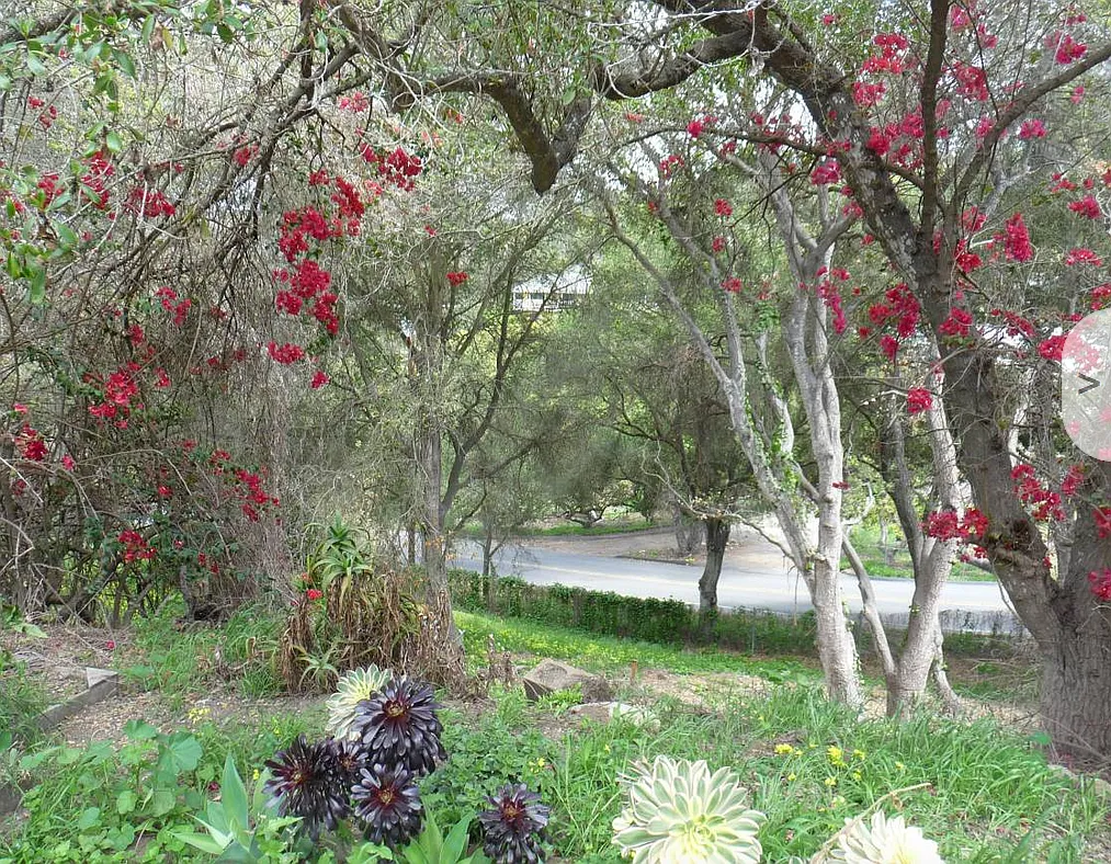Calle Canon, Santa Barbara — Photo 3