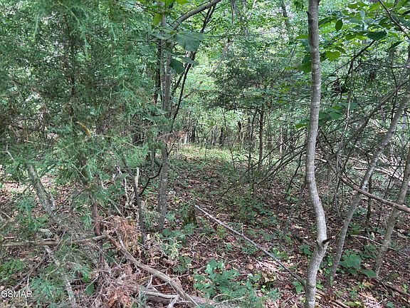 3rd image of LOT 9 Red Bud Dr