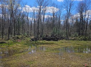 12331 W Delap Lane, Couderay, WI 54828
