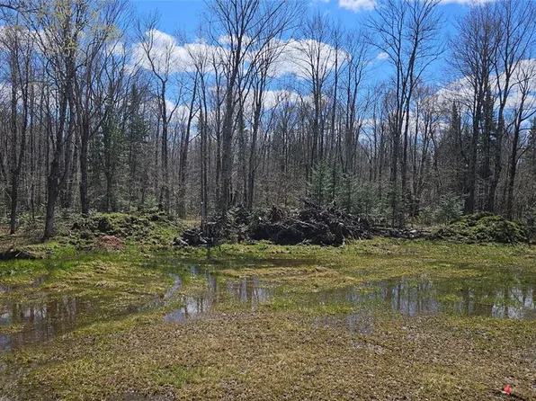 12331 W Delap Lane, Couderay, WI 54828
