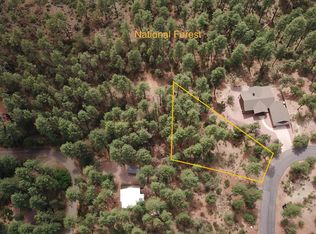 51 W Forest Trl, Pine, AZ 85544