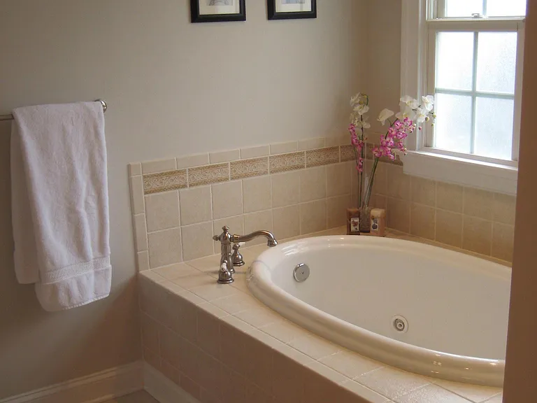 master bath - jetted tub