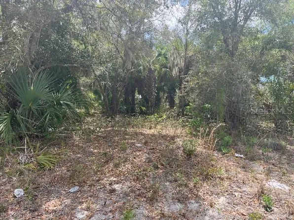Scottish Ter Lot 15, North Pt, FL 34288