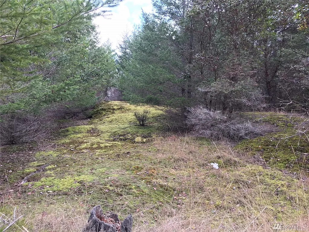 705 Mount Dallas Rd #A photo 1
