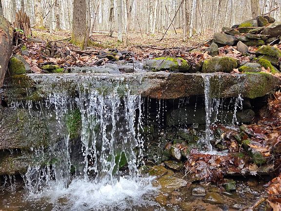 2nd image of 914 Dimmick Mountain Rd