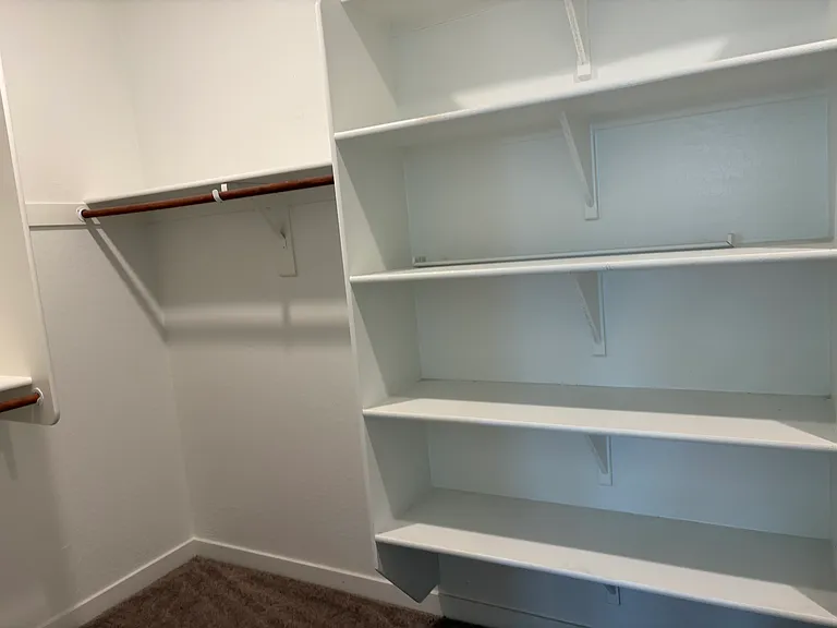 Primary Closet