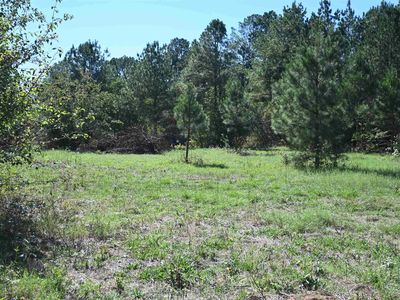 0 Grant #45, Prattsville, AR, 72129