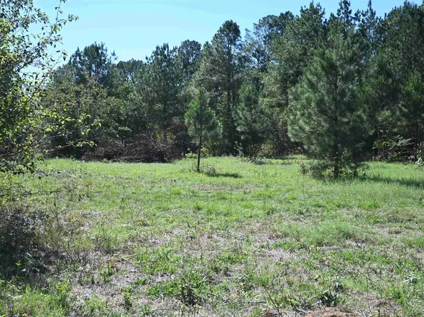 0 Grant #45, Prattsville, AR 72129