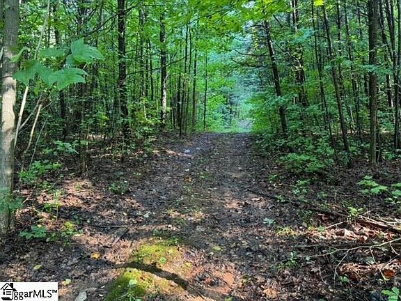 2nd image of Norris Dr