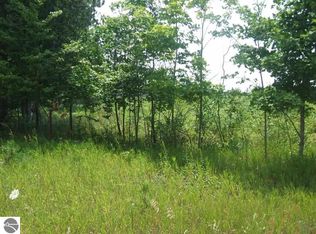 0 E 18 1/2 Rd, Manton, MI 49663