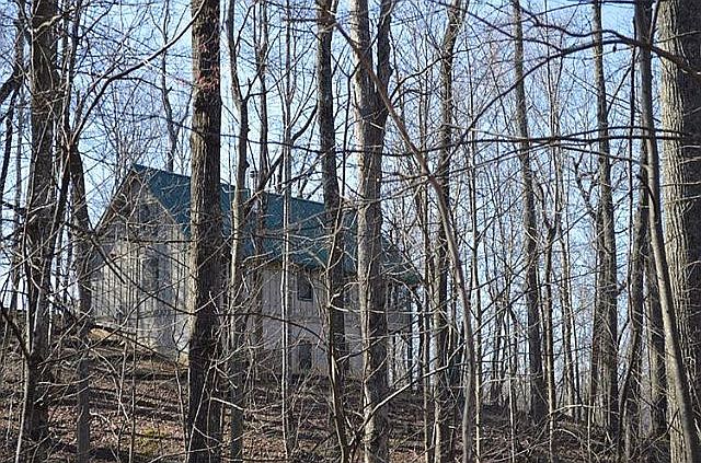 2nd image of 113 Buzzards Rest Trl