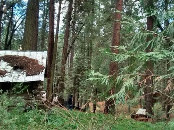 51723 Badger Rd, Miramonte, CA 93641