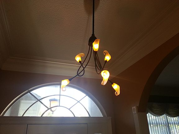 4th image of 1145 Willowood Cir