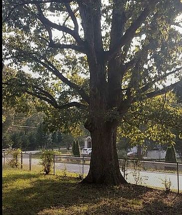 3rd image of 5704 Hunter Rd