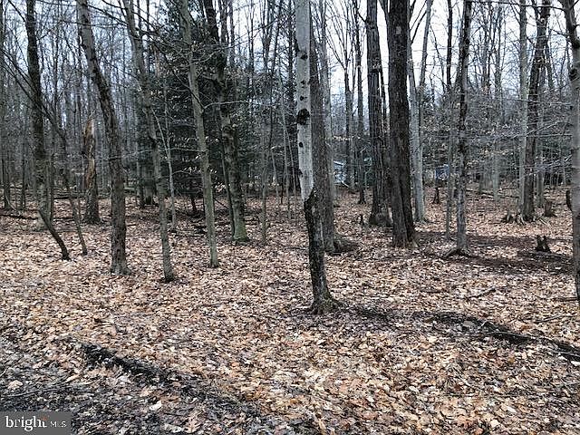 1st image of Timberlane Dr