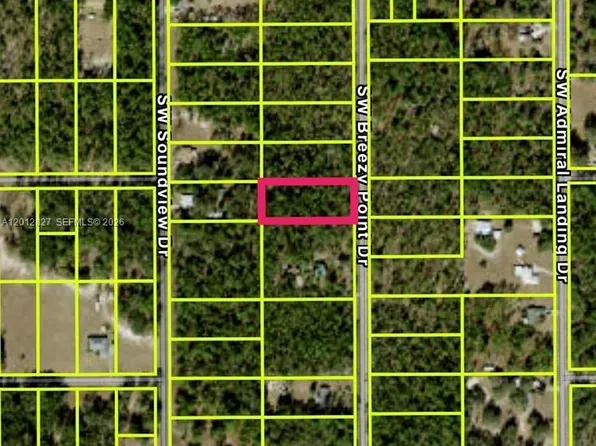 No Situs Sw Breezy Point Dr, Dunnellon, FL 34431