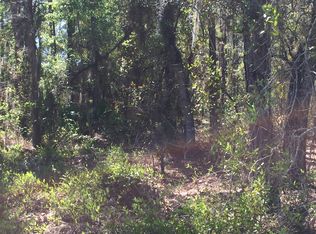 7061 SW 131st Loop, Ocala, FL 34473