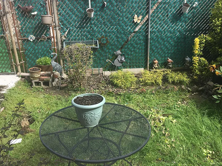 4025 Green St #1 — Photo 3