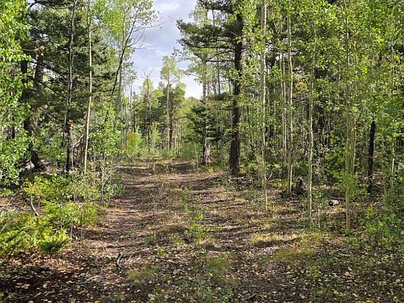5th image of 5878 Loubier Road LOT 5878