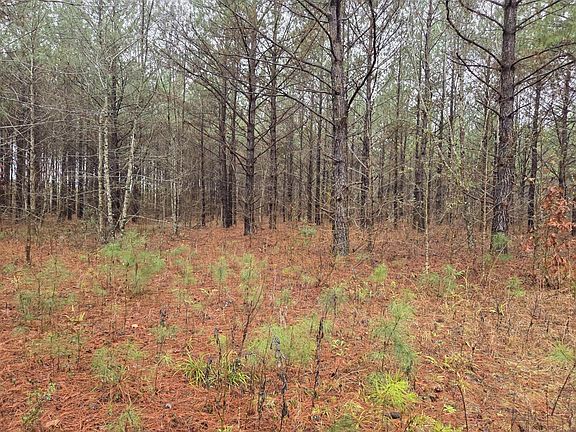 4th image of 0 Calamus Pond Rd