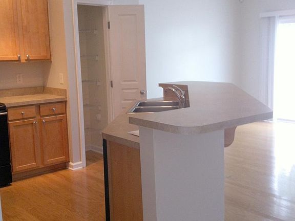 Open kitchen and great room