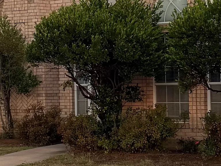 4037 Champions Dr — Photo 14