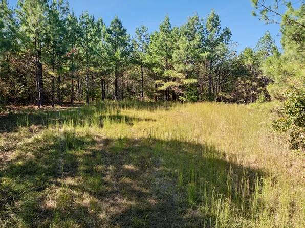 0 Cox Hollow Rd Lot 43a & 43b, Dover, TN 37058