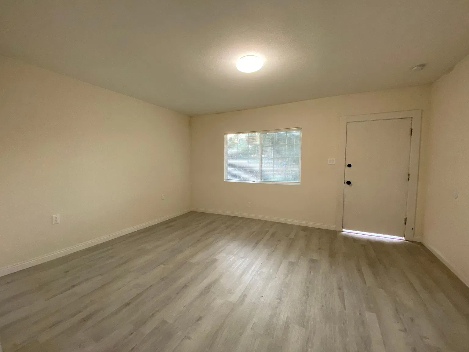 3 bed, 1100 sqft, $3,300 — Photo 3