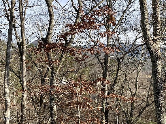 5th image of 51 Red Cedar Ln Lot 51