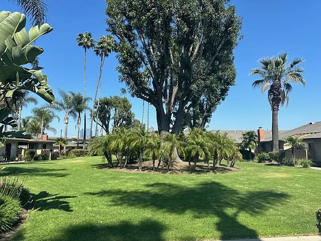 Arroyo Vista Apartments — Photo 7