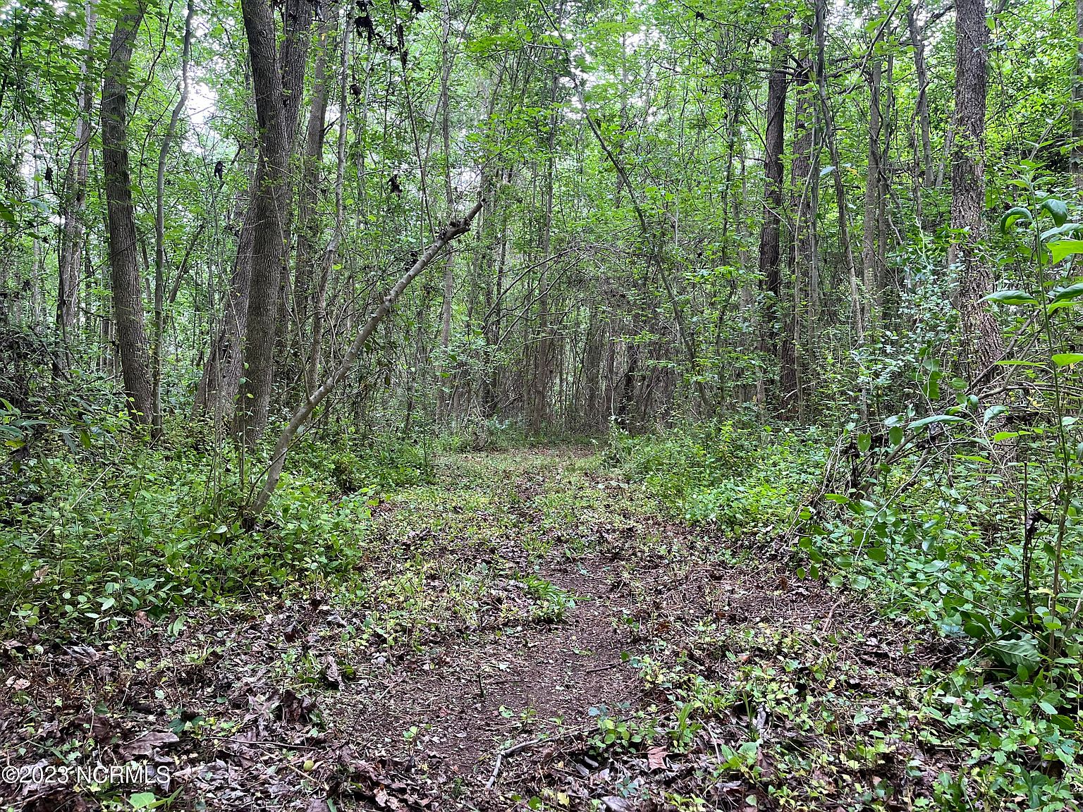 383 Gurganus Road, Maple Hill, NC 28454 MLS 100385872 Zillow