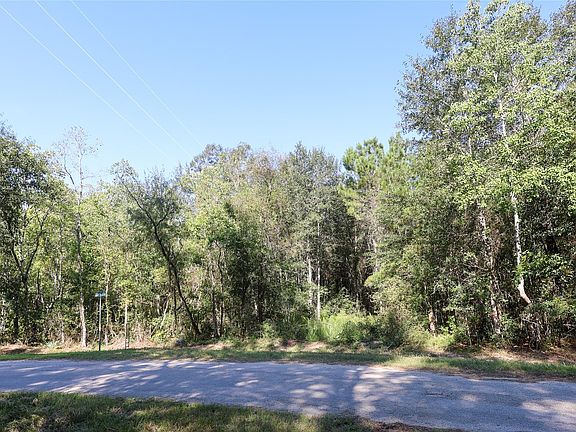 5th image of 0 County Road 3669b