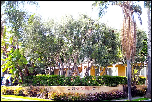 1739 Sunset Cliffs Blvd Photo 1