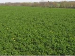 Shaky Lake Rd, Fremont, WI 54940